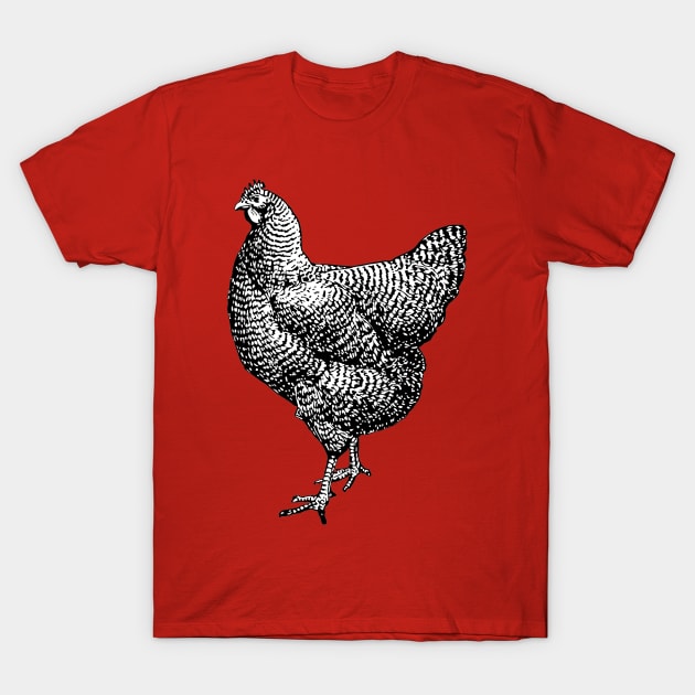 Vintage Barred Plymouth Rock Chicken Hen T-Shirt by Pixelchicken